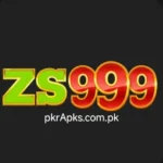 ZS 999