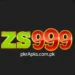 ZS 999