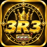 3R3