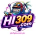Hi309