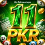 11PKR